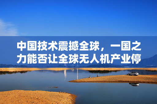 中国技术震撼全球，一国之力能否让全球无人机产业停摆一年？